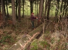 Waldarbeiten_10