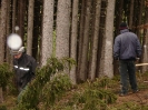 Waldarbeiten_11