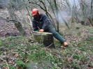 Waldarbeiten_14