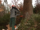 Waldarbeiten_20