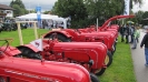 Bulldogtreffen_5