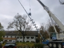 Maibaum umlegen