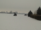 Baum holen und hobeln_6