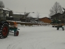 Baum holen und hobeln_8